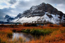 Crowfoot Mountain - Bow Lake