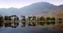 Buttermere Pines 2