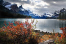 Maligne Lake - Jasper National Park