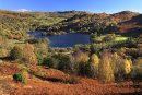 Rydal Water Autumn 1