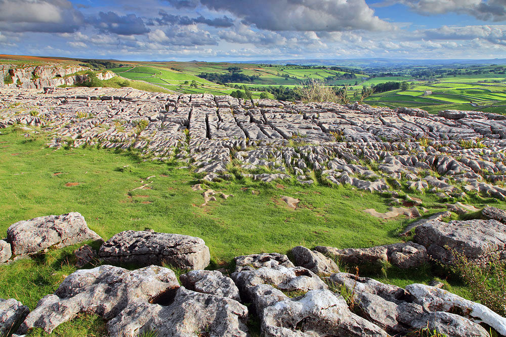 yd 454 Malham Limestone