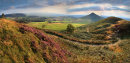 Roseberry Moor