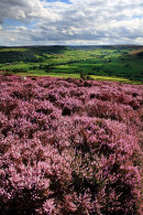 Danby Dale