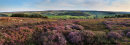 Danby Dales Panorama