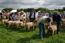 Judgement Day - Danby Show