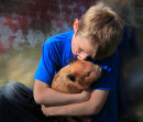Pet Pig - Egton Show