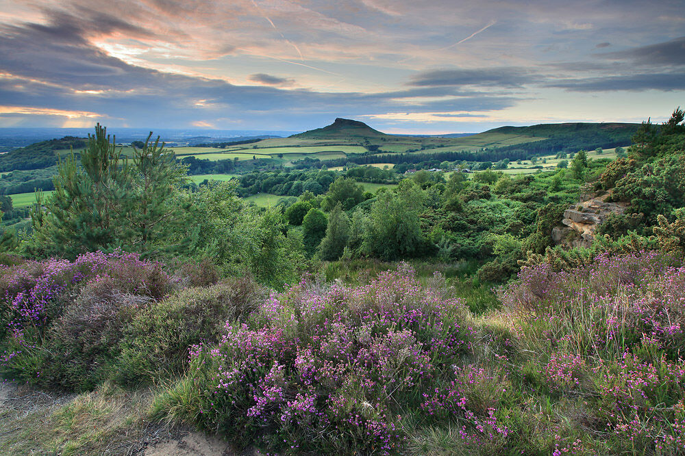 NW 30 Roseberry Viewpoint