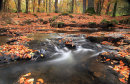 May Beck 1