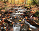 May Beck 2