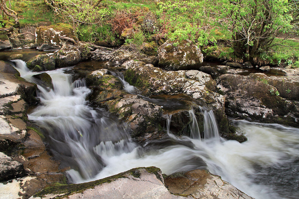 NW 42 Aira Beck Cumbria