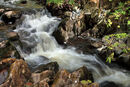 NW 44 Aira Beck Cumbria 2