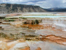 Mammoth Hot Springs