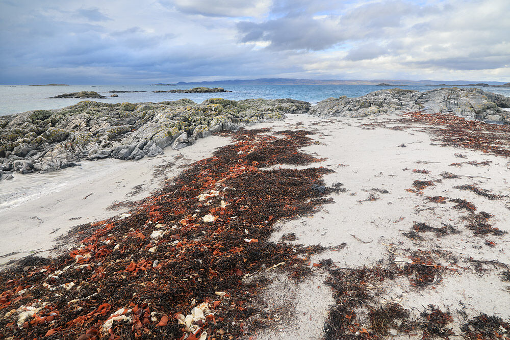 NW 62 Silver Sands Arisaig 8