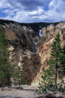 Yellowstone Falls