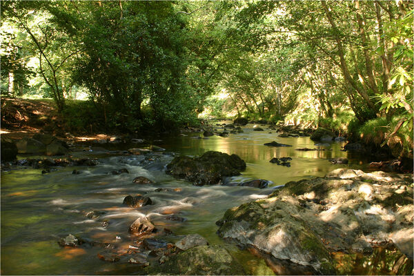 Fingle Bridge