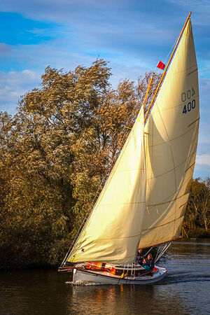 81005 - Broads Yacht