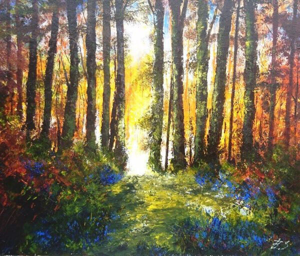 "Woodland light through bluebells"
