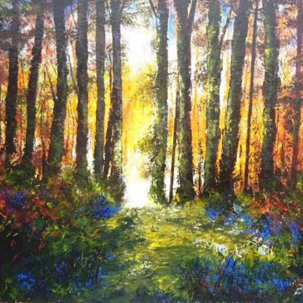 "Woodland light through bluebells"