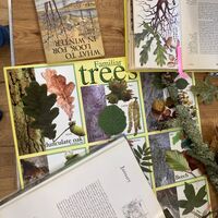 Resources to inspire...