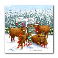 Brown Sussex cows waiting at Firgrove Road