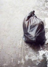 Bin Liner, 1999