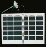 Comments Book for a Sensitive Artist, 1999