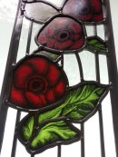 Poppies