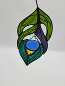 Peacock Feather