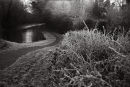 Towpath Frost