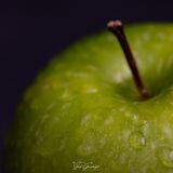 Macro Photography