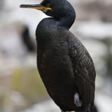 DSC 8776