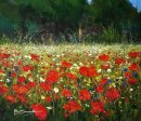 Poppy Meadow, Wisley (Acrylic) 15x17in