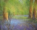 Banstead Bluebells (Gouache) 30x38cm