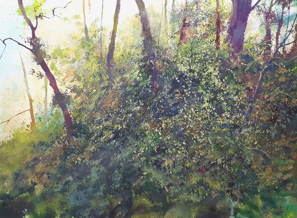 Woodland, Heligan (Gouache) 25x34cm