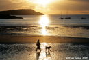 Anglesey Sunsets
