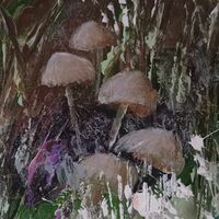 Abstract mushrooms in the woods