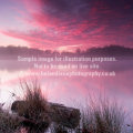 About blog images