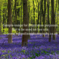 A blog entry example