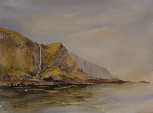 St Abbs, petticowick.