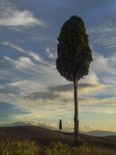 Lone tree Gladiator road #1