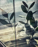 Novi Stad railway station