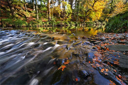 Autumn colours at Callan River Co. Armagh