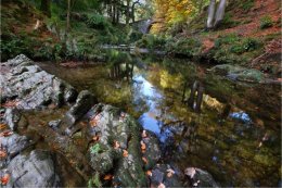 Autumn reflection at Foleys Bridge