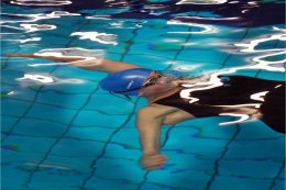 Backcrawl start