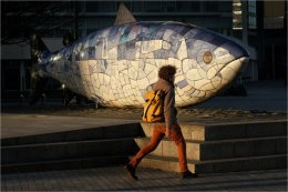 Big Fish Belfast