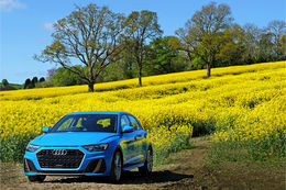 Blue Audi A1 in a yellow field
