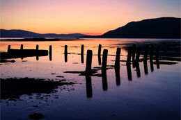 Carlingford Lough tranquility