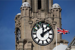 Clock spring cleaning