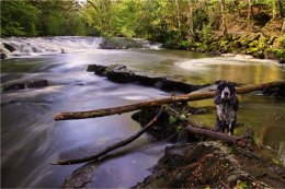 Cusher River Clare Co Armagh
