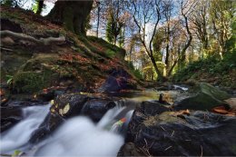 Drumlack River at Gosford Forest Park Markethill Armagh